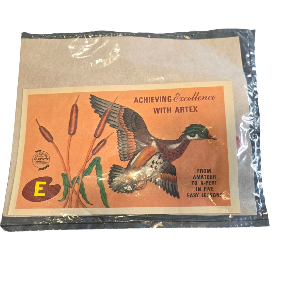🆕️ Vintage Artex Embroidery Kit Wood Duck Achieving Excellence Nature Craft DIY